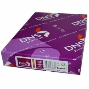 Картон DNS premium 300г A3